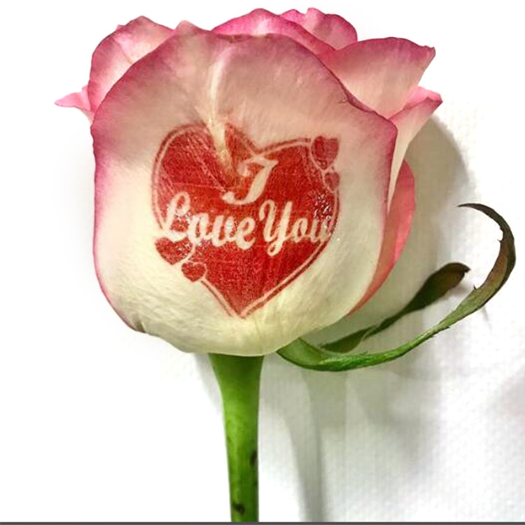 پرینتر گل نیل گوگو دستگاهی جدید برای چاپ عکس و طرح دلخواه شما بر روی گل رز هست. با این دستگاه شما قادر به چاپ هر عکسی بر روی گل رز و ناخن دست و پا هستید.